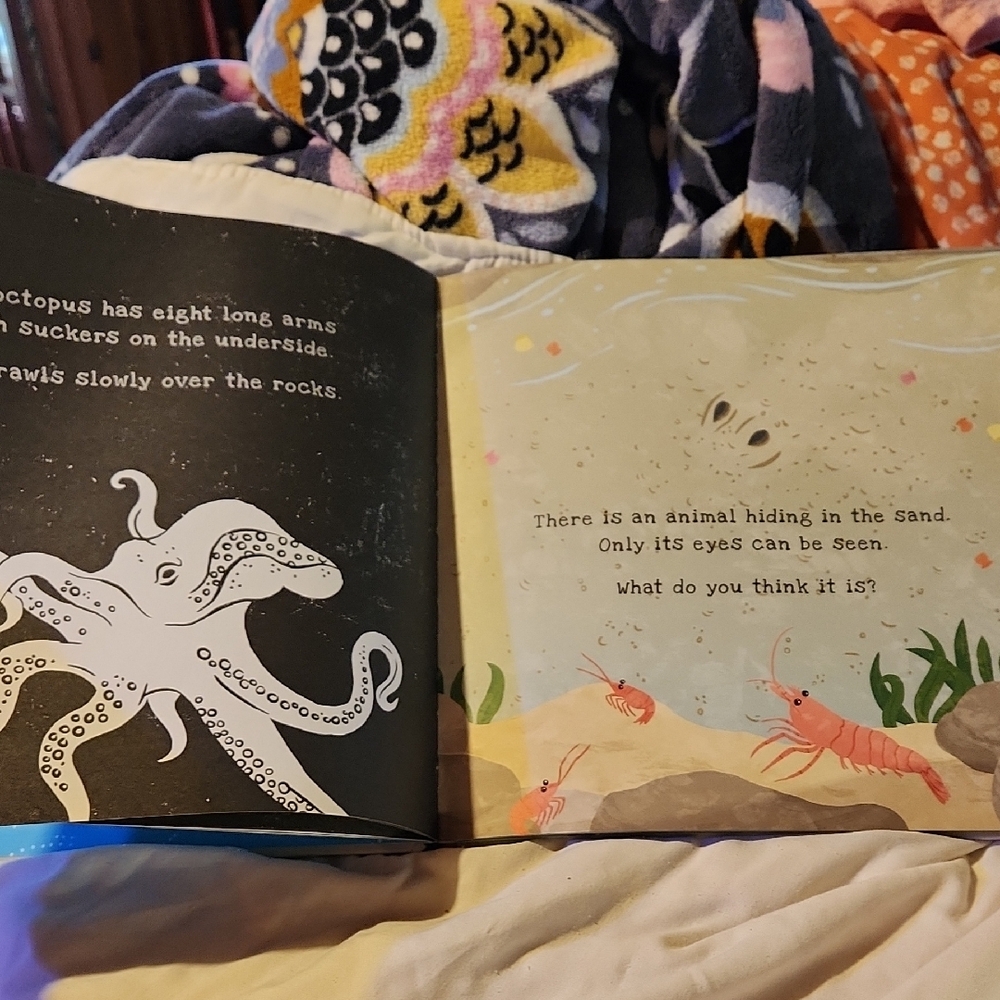 Secrets of the Seashore Shine-a-Light Book - Picture 6 of 6